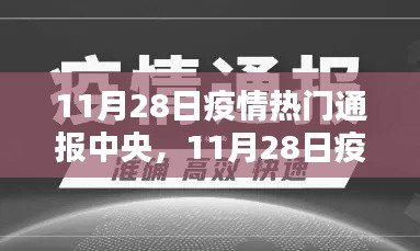 11月28日疫情热门通报中央,产品全面评测与解析