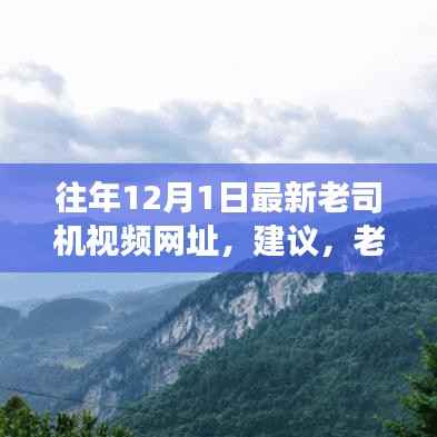 往年12月1日最新老司机视频网址,建议,老司机带你探索自然秘境,一场远离尘嚣的心灵之旅