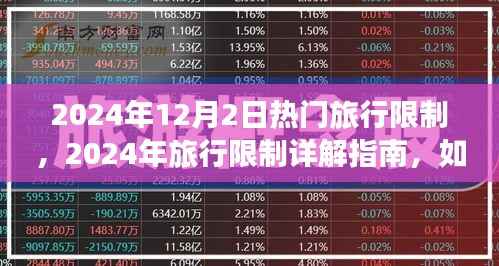 2024年旅行限制详解指南,顺利出行不受限