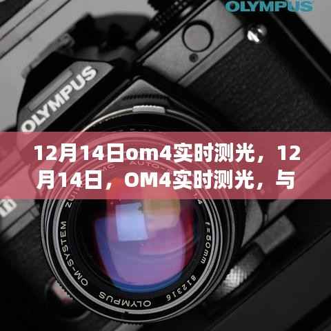 OM4实时测光与自然美景的邂逅,寻找内心宁静之旅