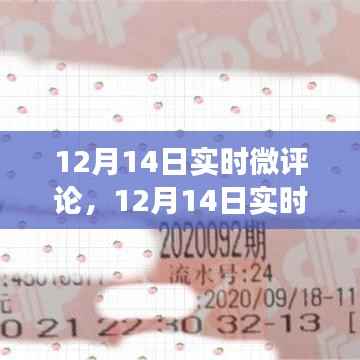 12月14日实时微评论,热点事件深度解读与独特见解