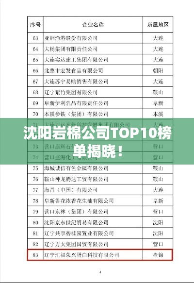 沈阳岩棉公司TOP10榜单揭晓!