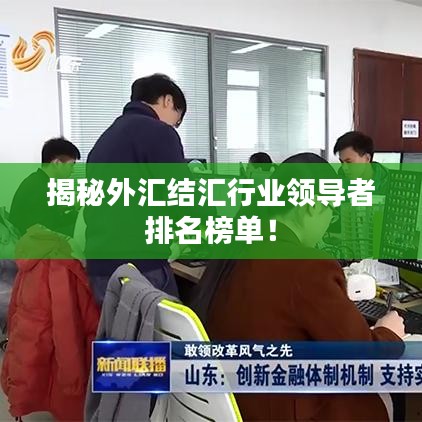 揭秘外汇结汇行业领导者排名榜单!